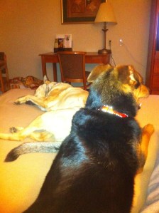 1 KC hotel day 1 5.14.11