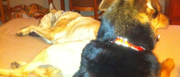 1-kc-hotel-day-1-5-14-11