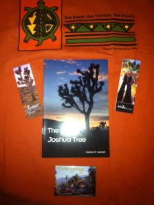 32 my palm springs stuff