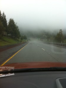 fog and rain on the way to Portland